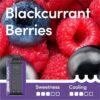 Blackcurrant Berries Waka SoPro